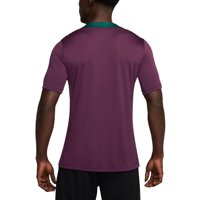 Paris Saint-Germain Nike 2024/25 Strike Performance Top - Burgundy