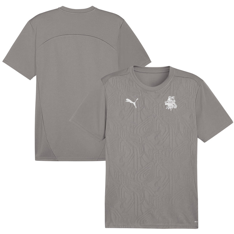 Barnsley Puma Training Top - Grey