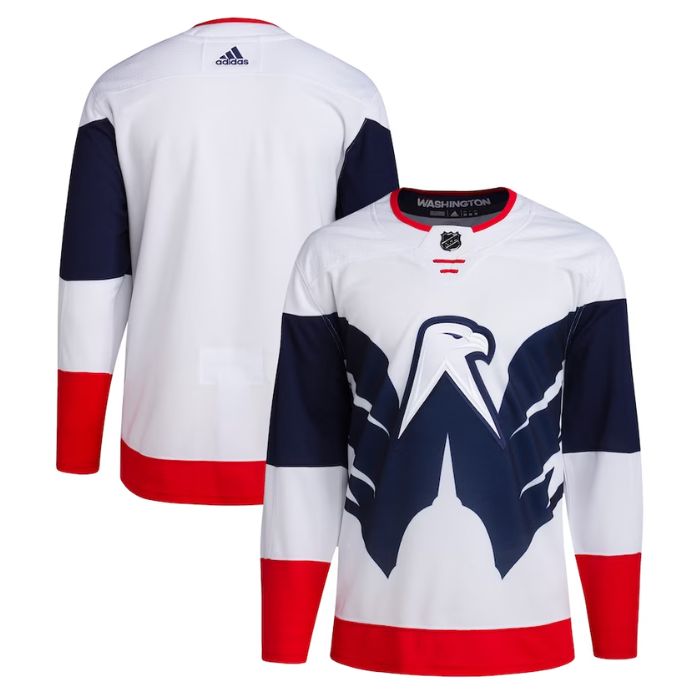 Washington Capitals Team Unisex 2023 NHL Stadium Series Primegreen custom Jersey - White - Champions Jerseys